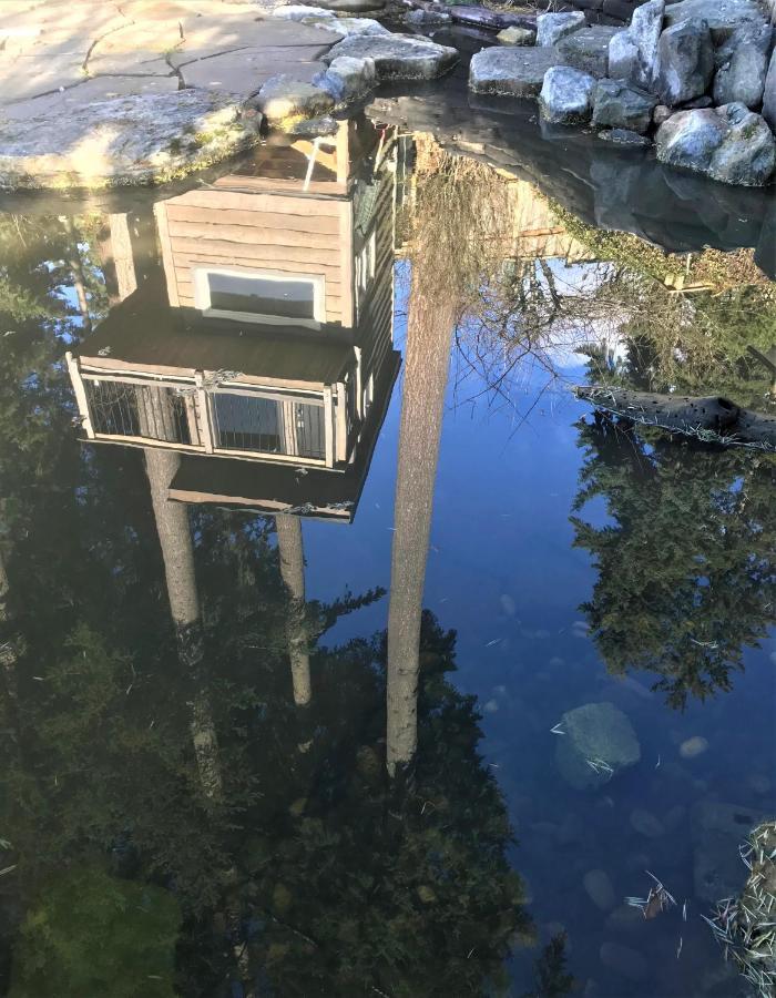 The Secret Garden Treehouse Apartment North Vancouver Exterior photo